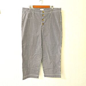 Free Assembly Cropped Blue & White Striped Canvas Button Fly Hi Rise Pants Women